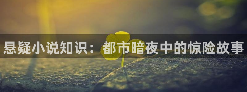 苏省在1937息壤中文：悬疑小说知识：都市暗夜中的惊险故事